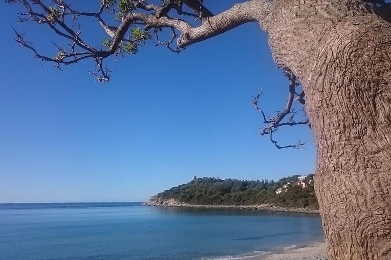 Un Po Di Relax A Pochi Passi Dal Mare! Àrbatax Exterior foto